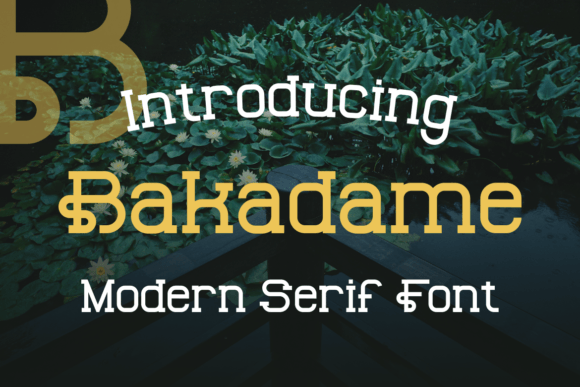 Bakadame: A Unique Display Font for Web Design